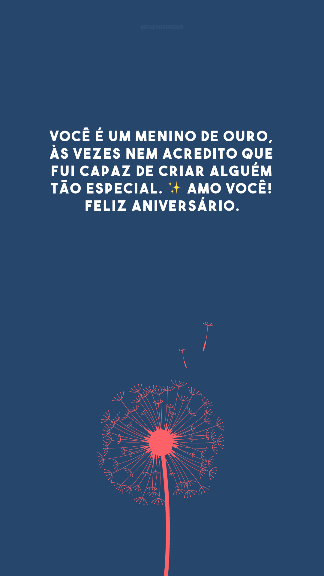 Você é um menino de ouro, às vezes nem acredito que fui capaz de criar alguém tão especial. ✨ Amo você! Feliz aniversário.