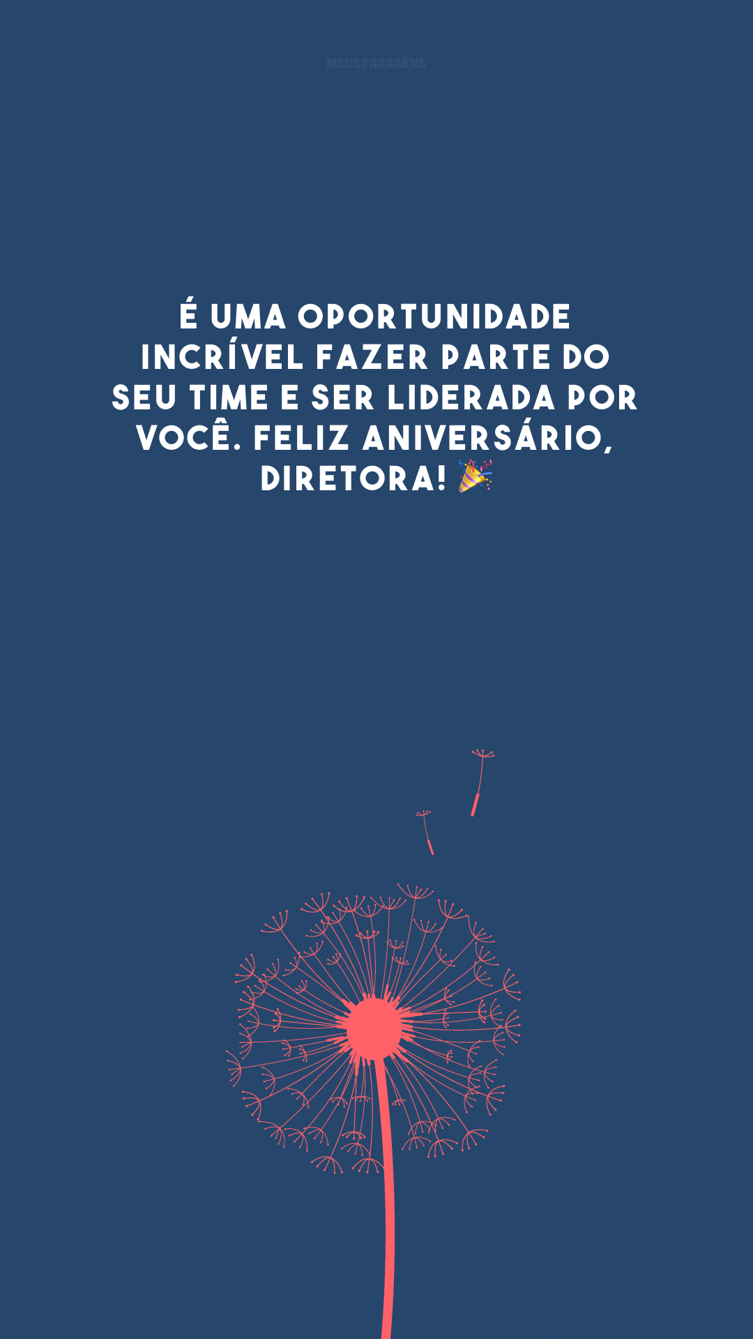 É uma oportunidade incrível fazer parte do seu time e ser liderada por você. Feliz aniversário, diretora! 🎉