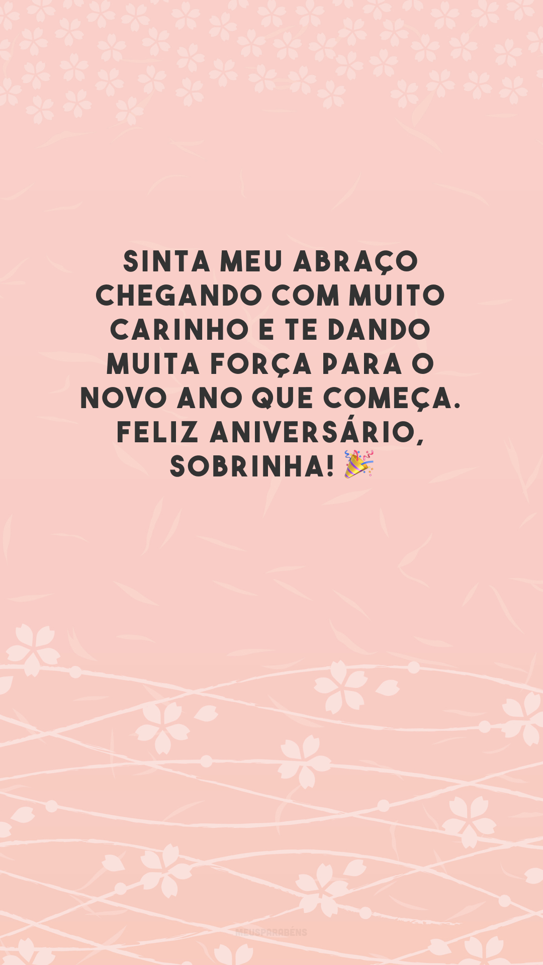 Sinta meu abraço chegando com muito carinho e te dando muita força para o novo ano que começa. Feliz aniversário, sobrinha! 🎉