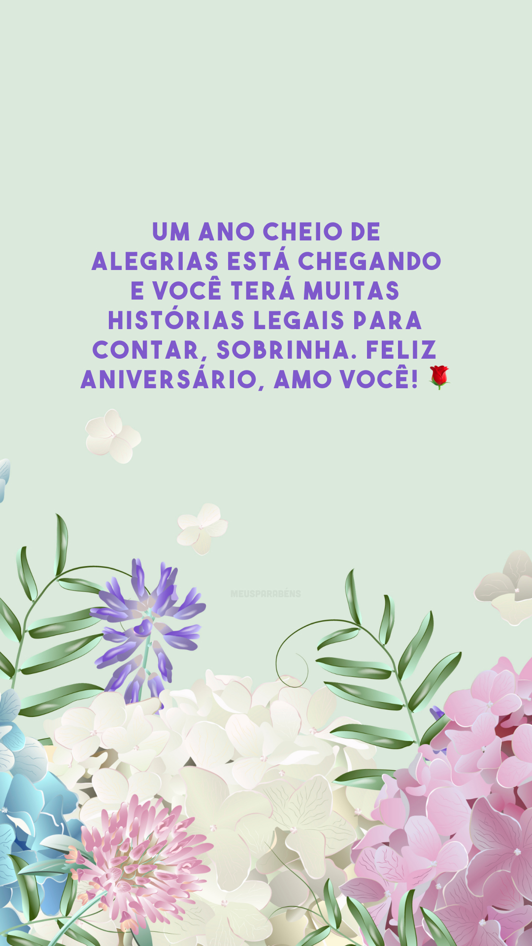 Um ano cheio de alegrias está chegando e você terá muitas histórias legais para contar, sobrinha. Feliz aniversário, amo você! 🌹