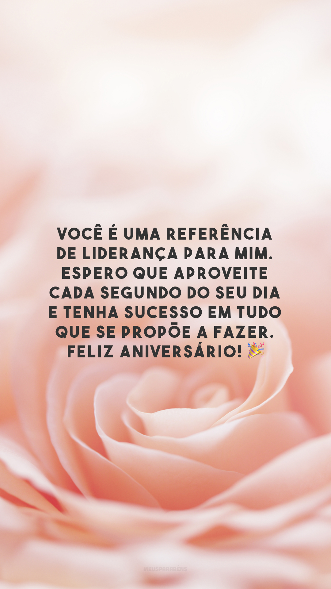 Você é uma referência de liderança para mim. Espero que aproveite cada segundo do seu dia e tenha sucesso em tudo que se propõe a fazer. Feliz aniversário! 🎉