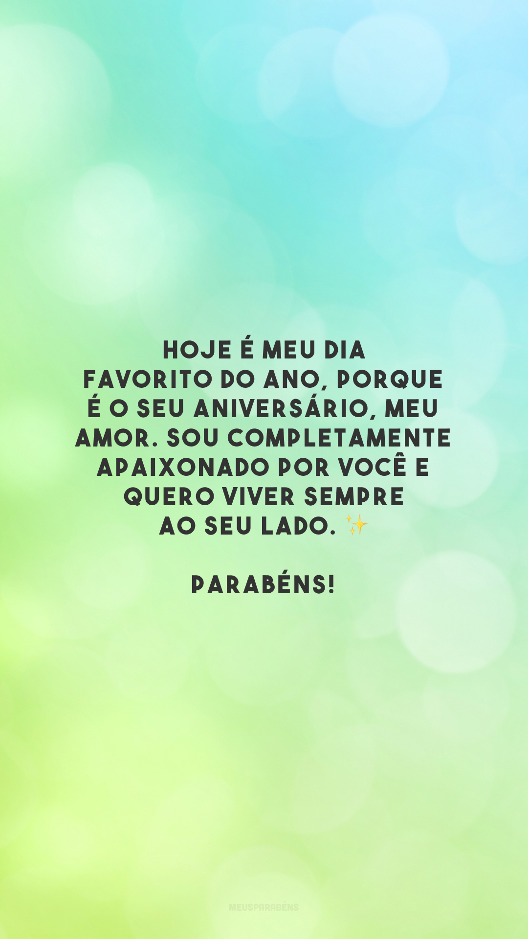 Hoje é meu dia favorito do ano, porque é o seu aniversário, meu amor. Sou completamente apaixonado por você e quero viver sempre ao seu lado. ✨ Parabéns! 