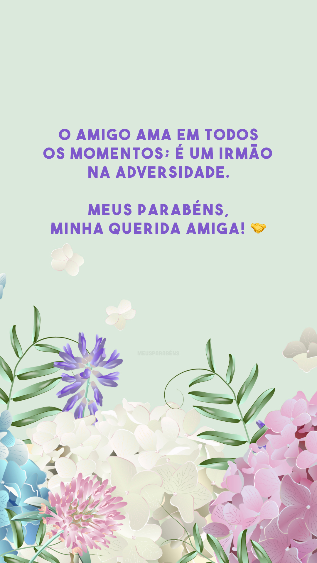 O amigo ama em todos os momentos; é um irmão na adversidade. Meus parabéns, minha querida amiga! 🤝