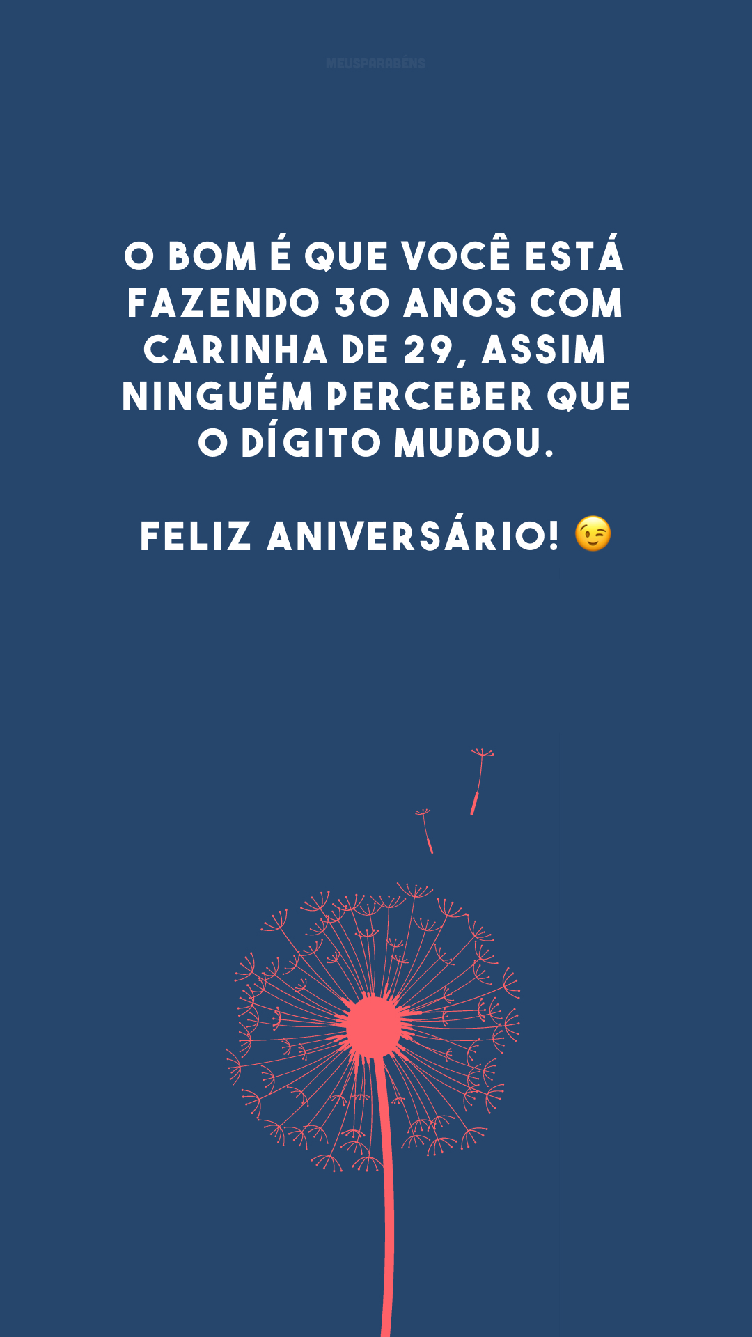 O bom é que você está fazendo 30 anos com carinha de 29, assim ninguém perceber que o dígito mudou. Feliz aniversário! 😉