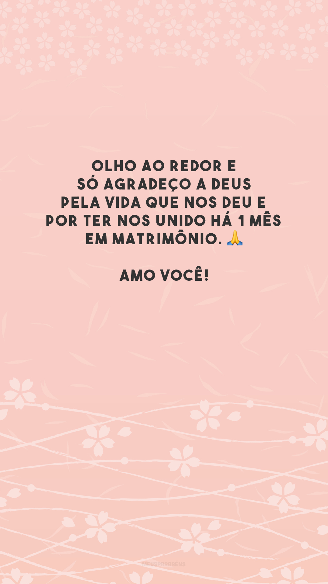 Olho ao redor e só agradeço a Deus pela vida que nos deu e por ter nos unido há 1 mês em matrimônio. 🙏 Amo você!