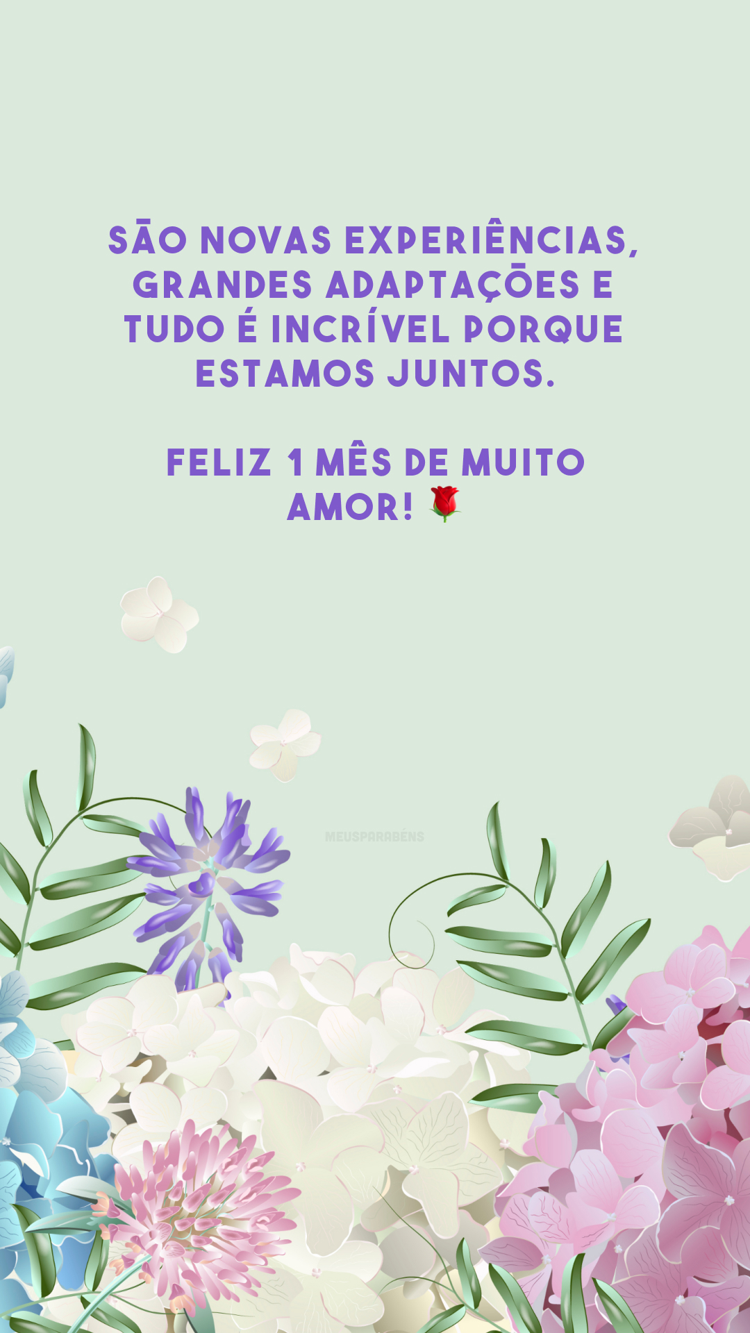 São novas experiências, grandes adaptações e tudo é incrível porque estamos juntos. Feliz 1 mês de muito amor! 🌹