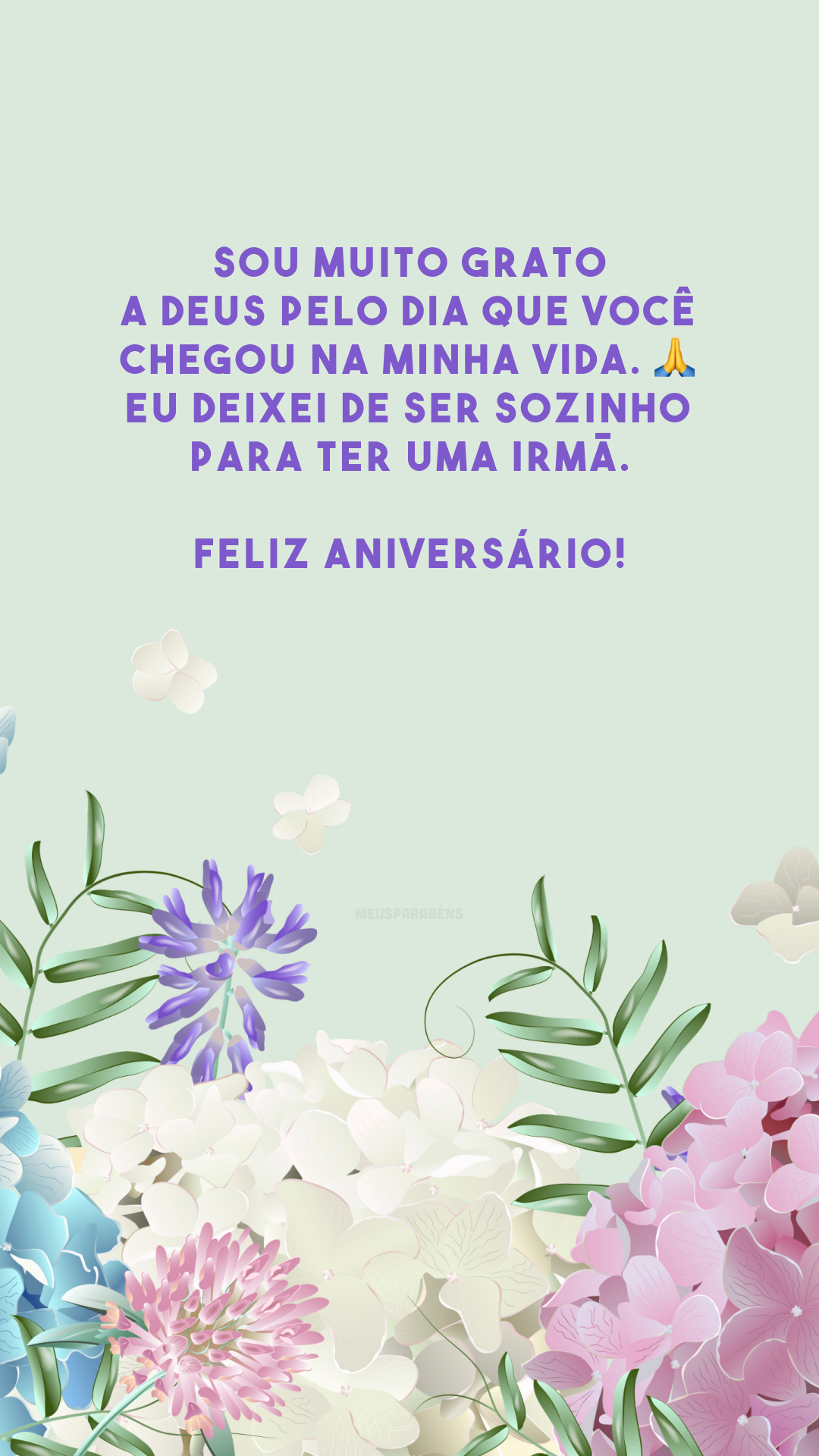 Sou muito grato a Deus pelo dia que você chegou na minha vida. 🙏 Eu deixei de ser sozinho para ter uma irmã. Feliz aniversário!