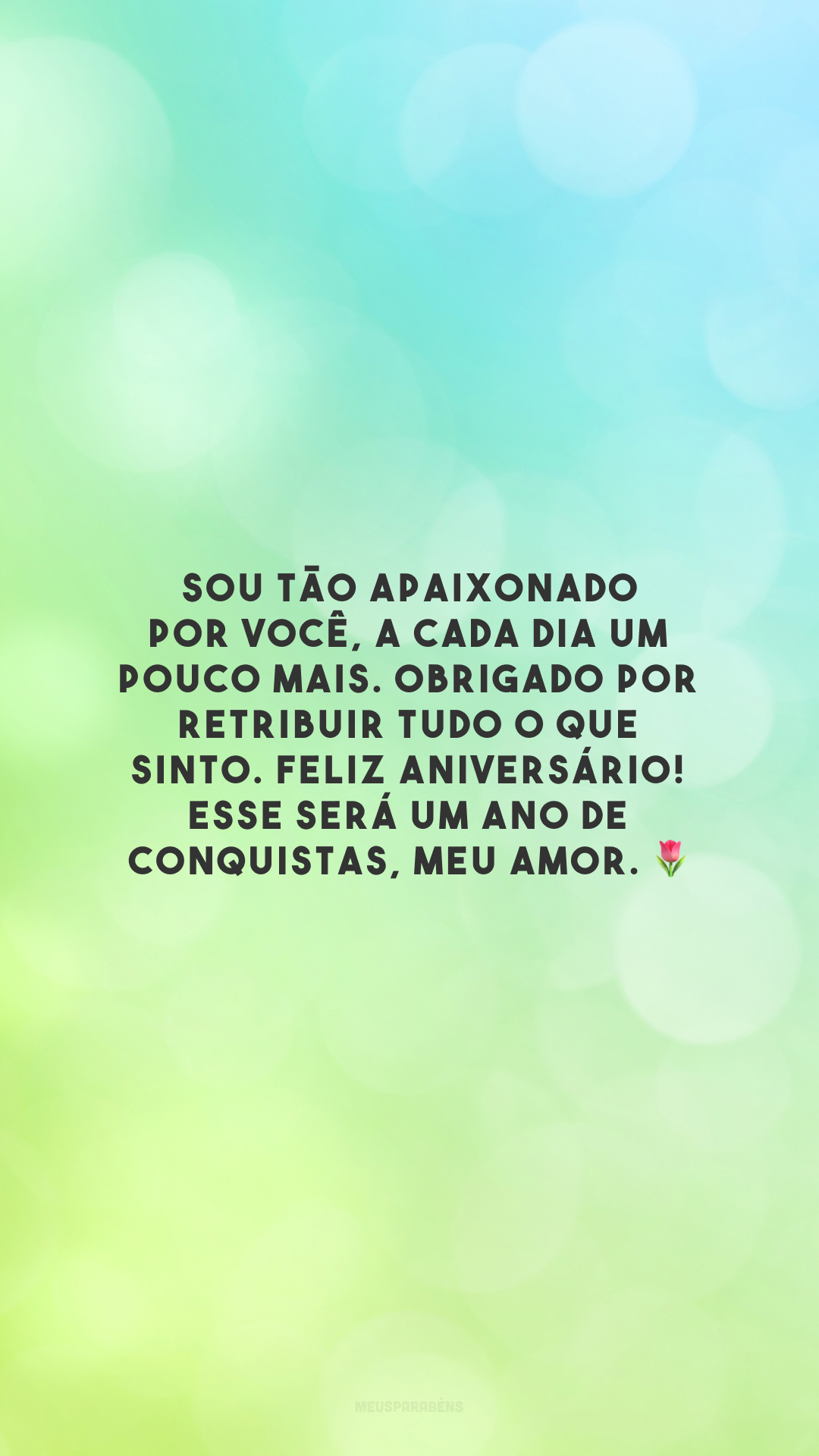 Sou tão apaixonado por você, a cada dia um pouco mais. Obrigado por retribuir tudo o que sinto. Feliz aniversário! Esse será um ano de conquistas, meu amor. 🌷