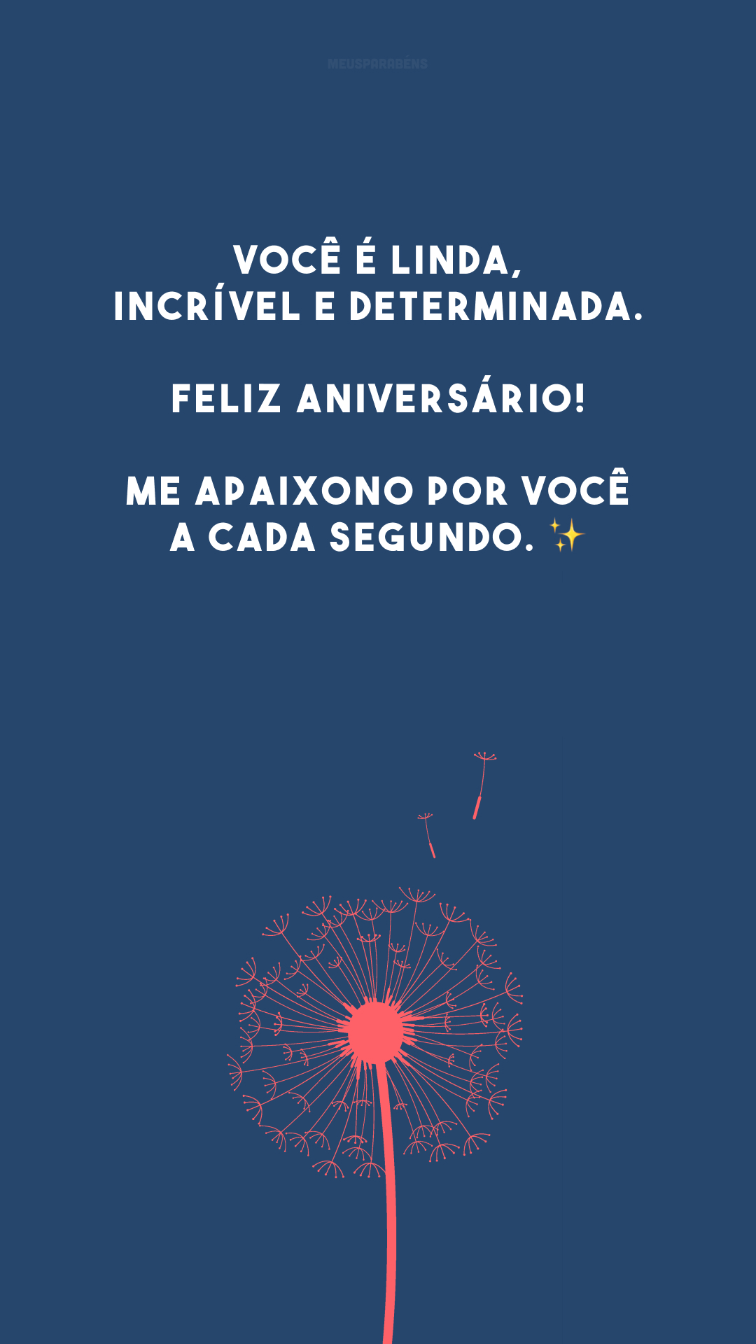 Você é linda, incrível e determinada. Feliz aniversário! Me apaixono por você a cada segundo. ✨