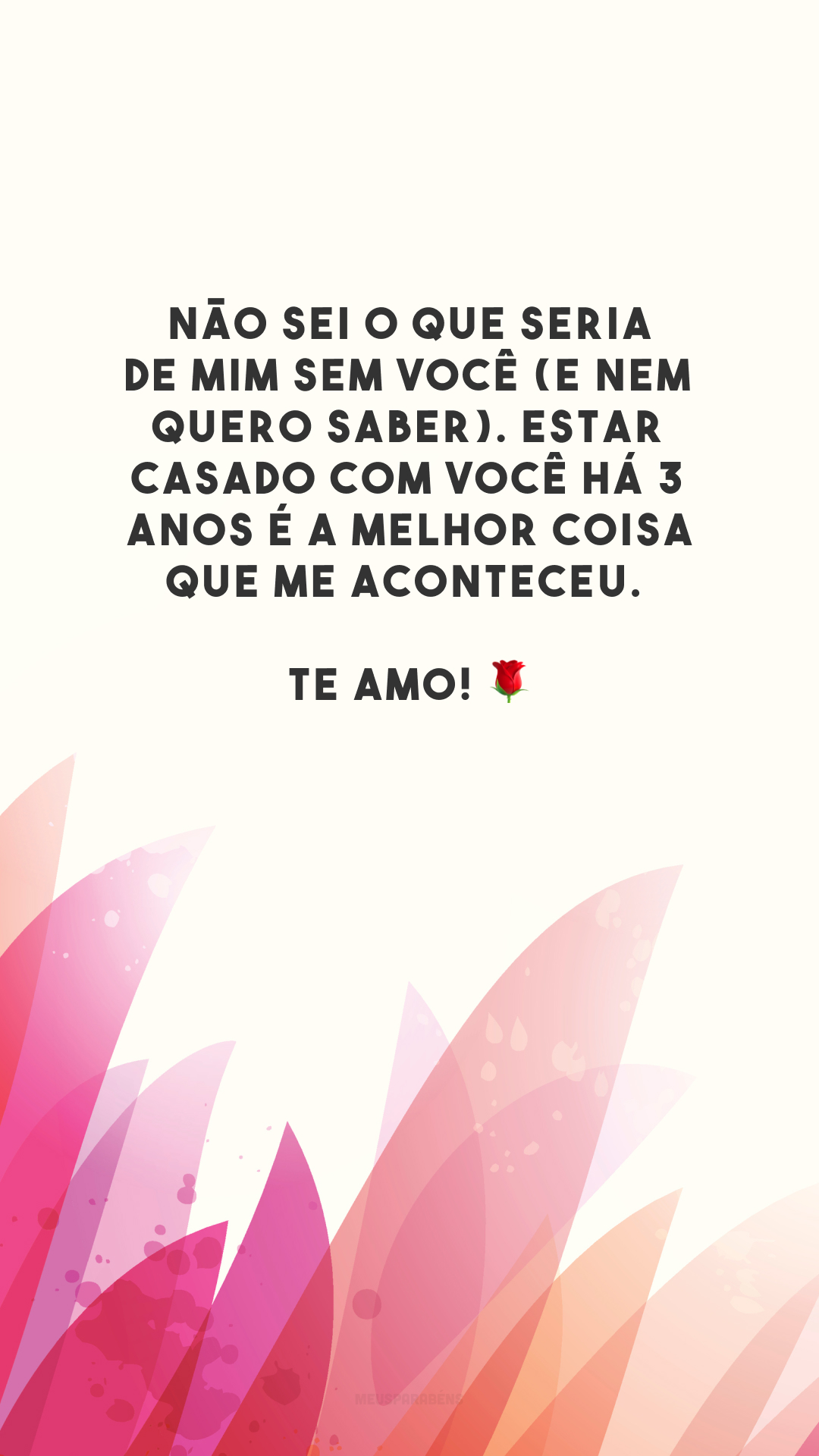 Não sei o que seria de mim sem você (e nem quero saber). Estar casado com você há 3 anos é a melhor coisa que me aconteceu. Te amo! 🌹