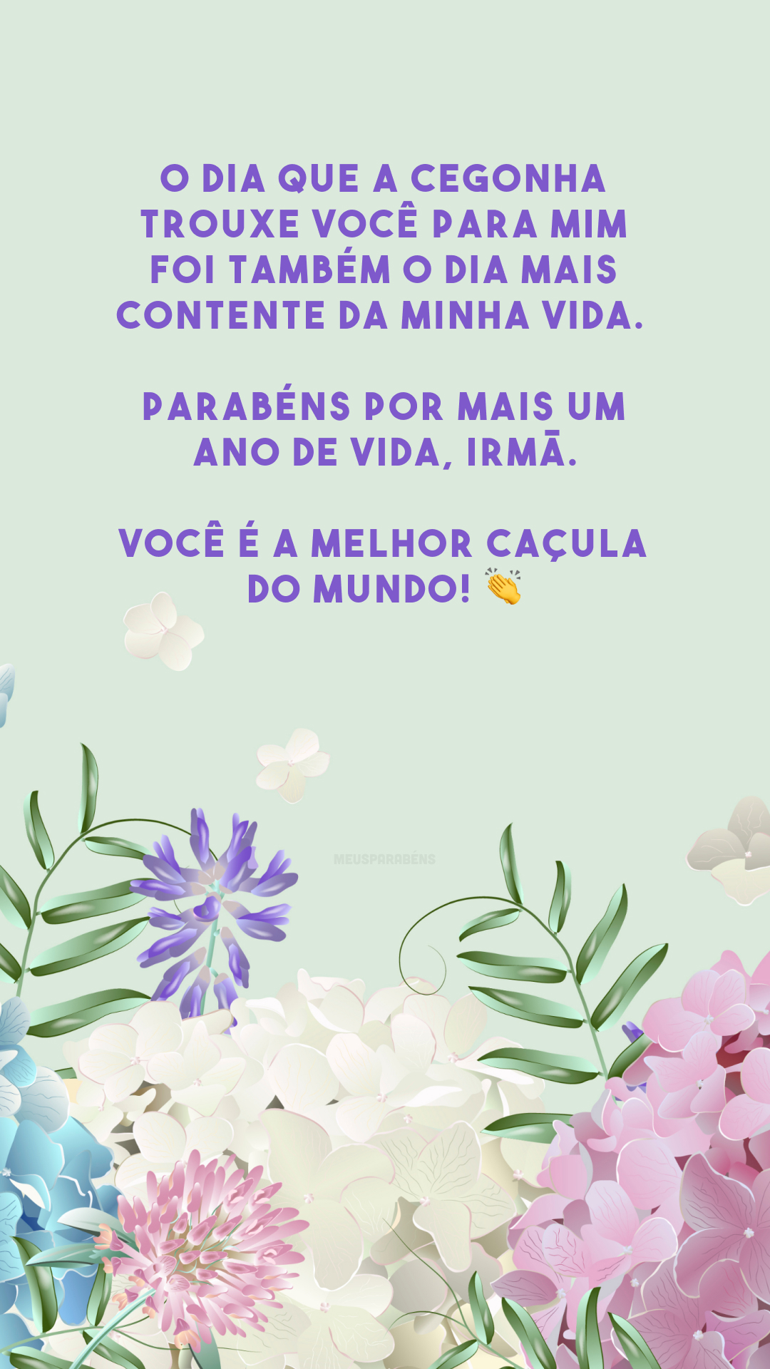 O dia que a cegonha trouxe você para mim foi também o dia mais contente da minha vida. Parabéns por mais um ano de vida, irmã. Você é a melhor caçula do mundo! 👏