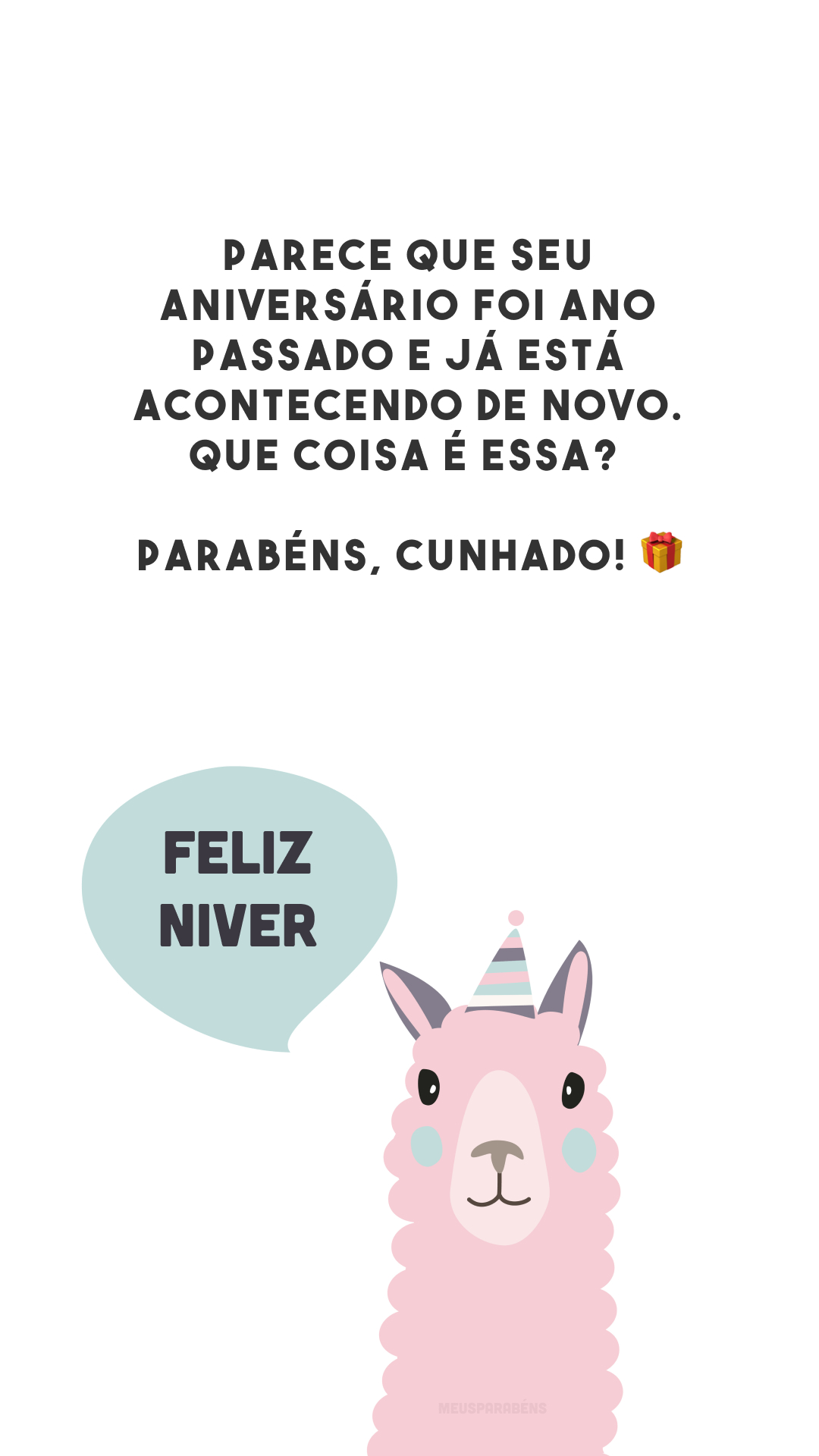 Parece que seu aniversário foi ano passado e já está acontecendo de novo. Que coisa é essa? Parabéns, cunhado! 🎁