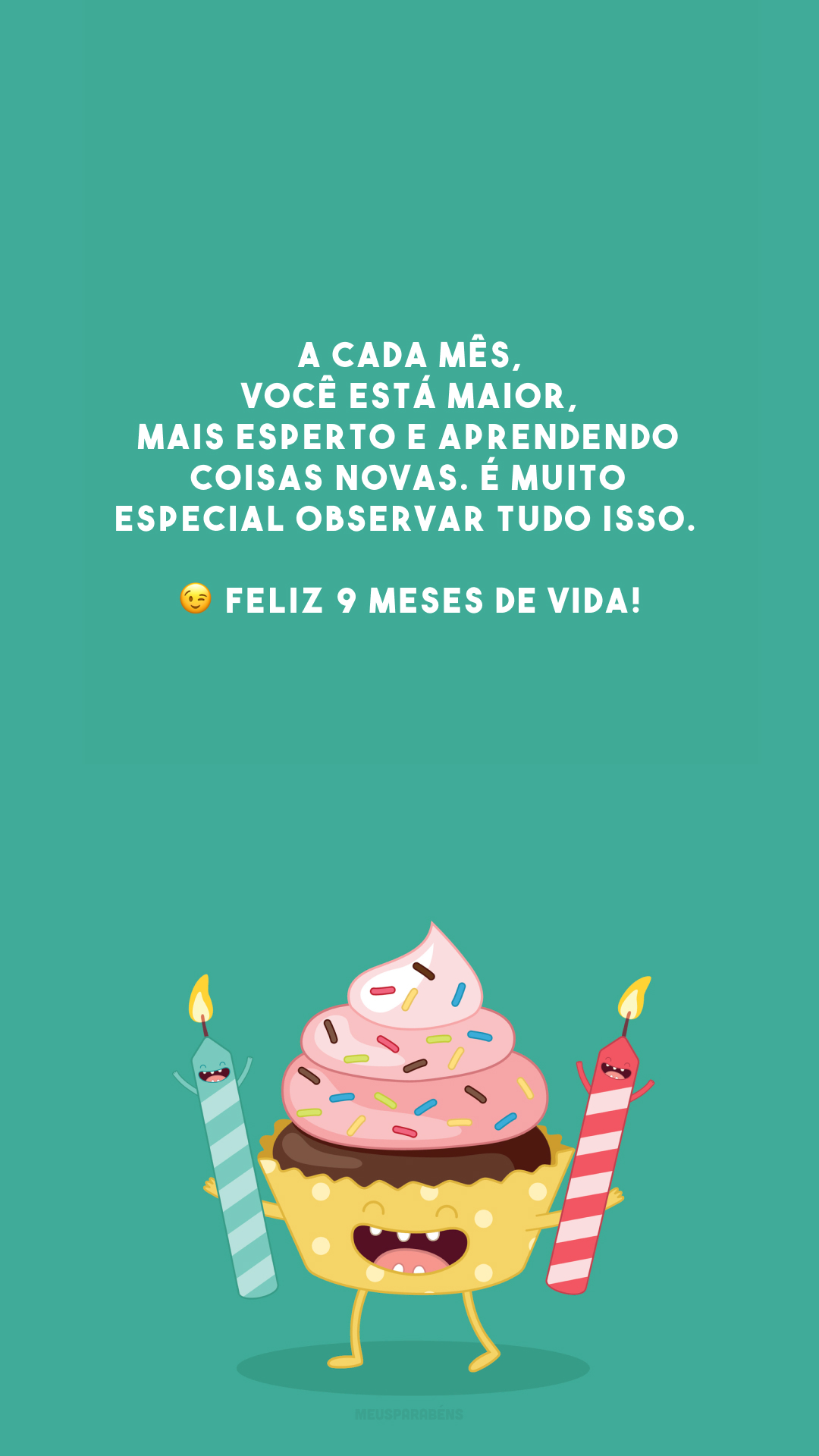 A cada mês, você está maior, mais esperto e aprendendo coisas novas. É muito especial observar tudo isso. 😉 Feliz 9 meses de vida!