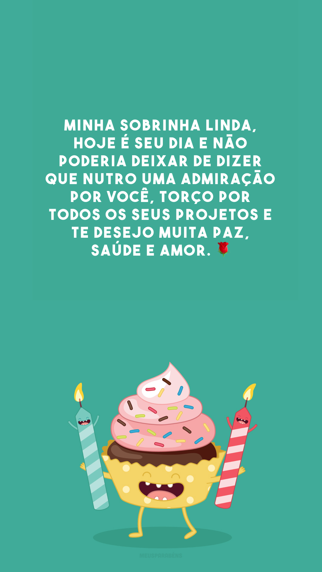 Minha sobrinha linda, hoje é seu dia e não poderia deixar de dizer que nutro uma admiração por você, torço por todos os seus projetos e te desejo muita paz, saúde e amor. 🌹