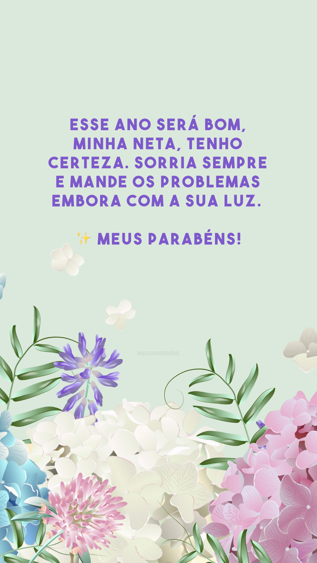 Esse ano será bom, minha neta, tenho certeza. Sorria sempre e mande os problemas embora com a sua luz. ✨ Meus parabéns!