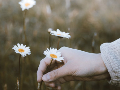 30 frases de aniversário para quem já morreu e deixou muitas saudades