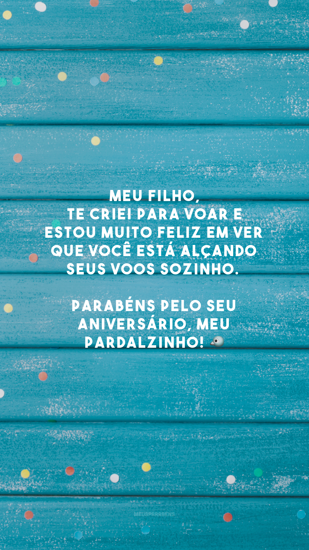 Meu filho, te criei para voar e estou muito feliz em ver que você está alçando seus voos sozinho. Parabéns pelo seu aniversário, meu pardalzinho! 🐦