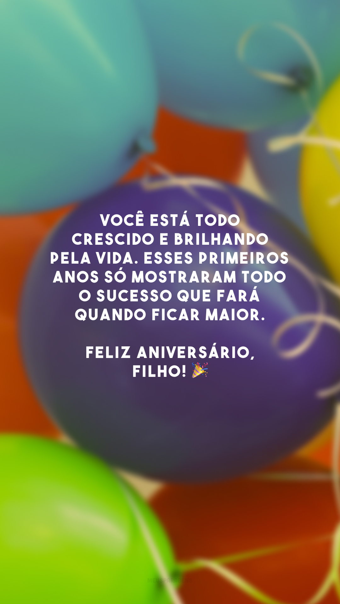 Você está todo crescido e brilhando pela vida. Esses primeiros anos só mostraram todo o sucesso que fará quando ficar maior. Feliz aniversário, filho! 🎉