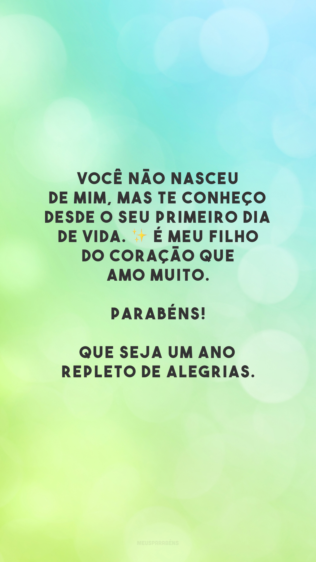 Você não nasceu de mim, mas te conheço desde o seu primeiro dia de vida. ✨ É meu filho do coração que amo muito. Parabéns! Que seja um ano repleto de alegrias.