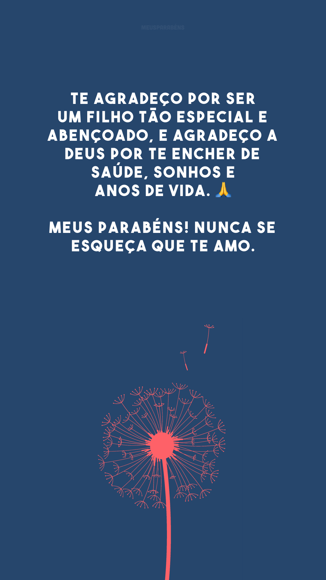 Te agradeço por ser um filho tão especial e abençoado, e agradeço a Deus por te encher de saúde, sonhos e anos de vida. 🙏 Meus parabéns! Nunca se esqueça que te amo.