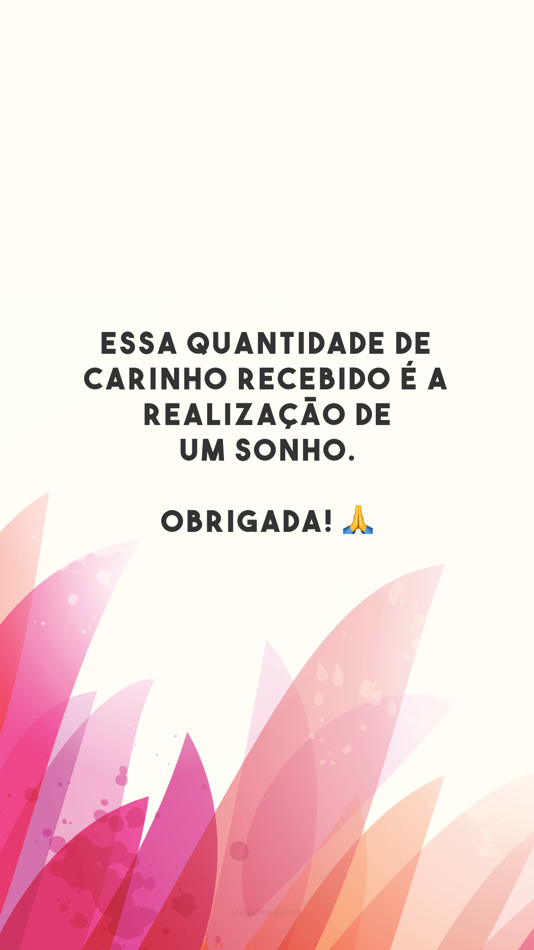 Essa quantidade de carinho recebido é a realização de um sonho. Obrigada! 🙏