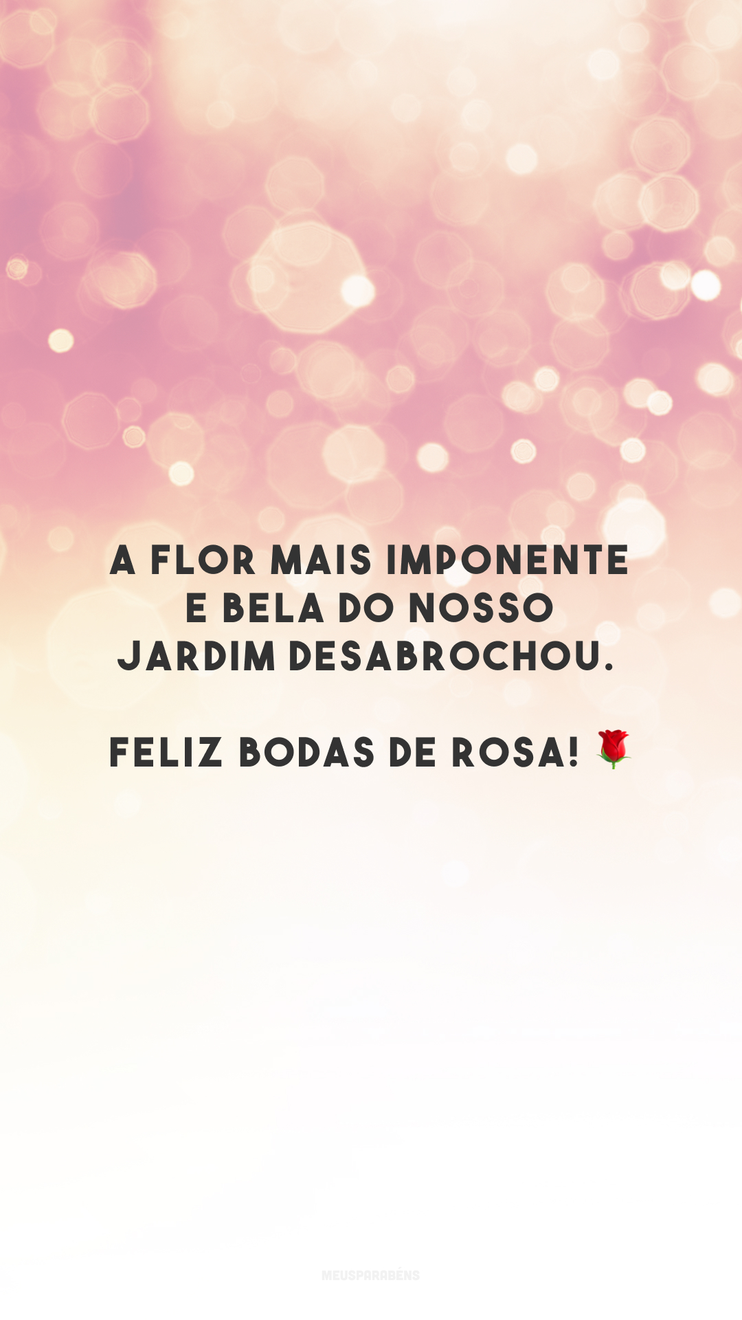 A flor mais imponente e bela do nosso jardim desabrochou. Feliz bodas de rosa! 🌹