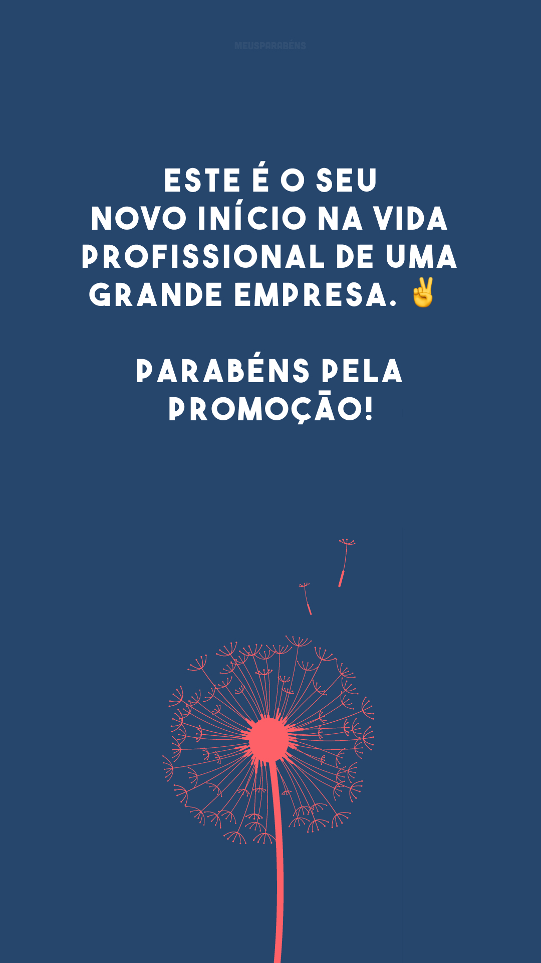 Este é o seu novo início na vida profissional de uma grande empresa. ✌️ Parabéns pela promoção!