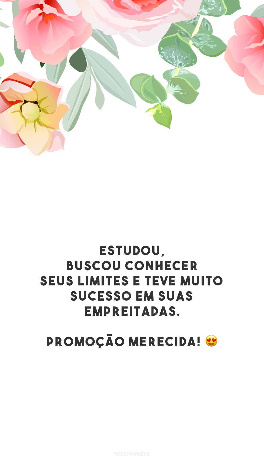 Estudou, buscou conhecer seus limites e teve muito sucesso em suas empreitadas. Promoção merecida! 😍