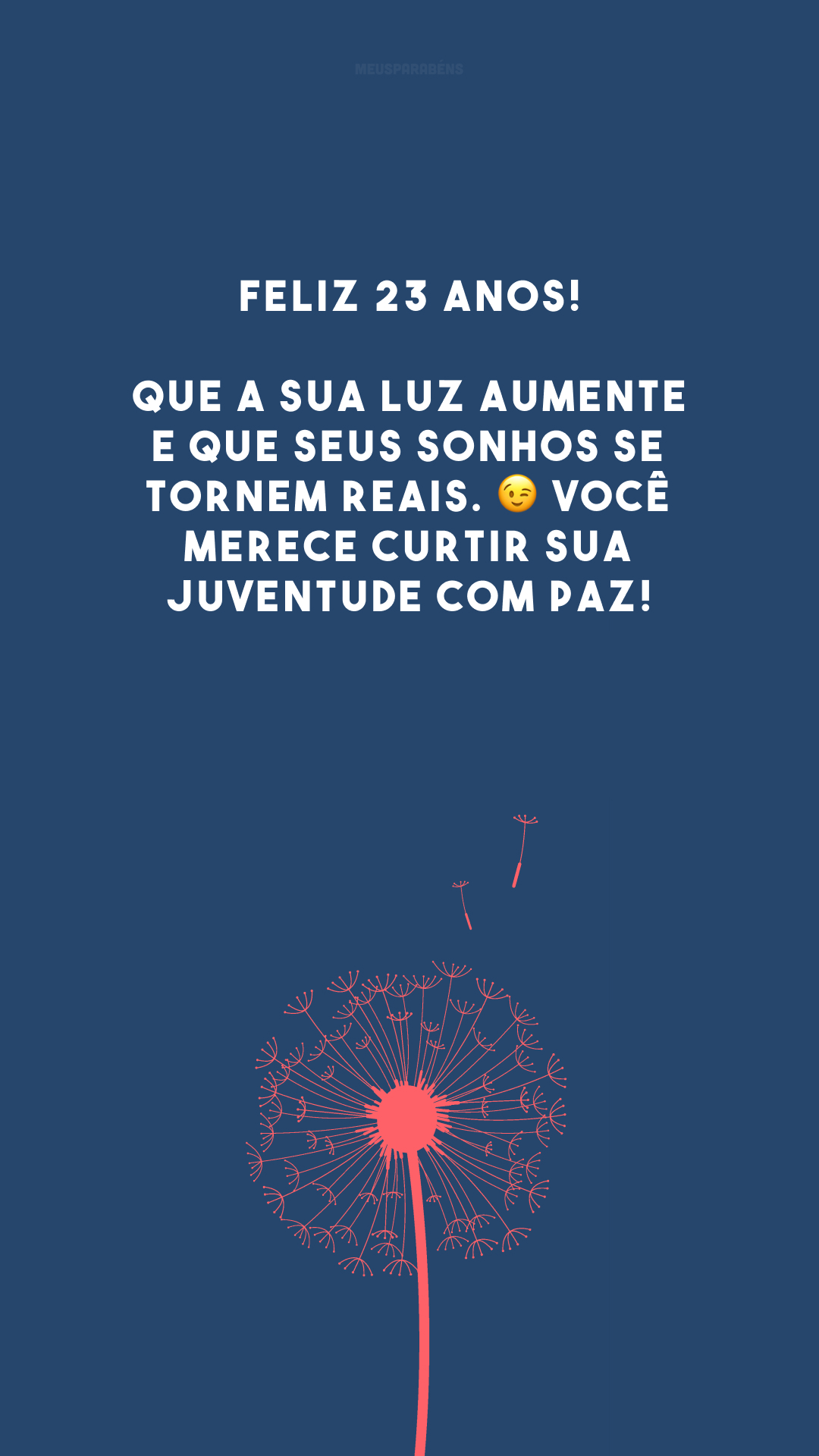 Feliz 23 anos! Que a sua luz aumente e que seus sonhos se tornem reais. 😉 Você merece curtir sua juventude com paz!