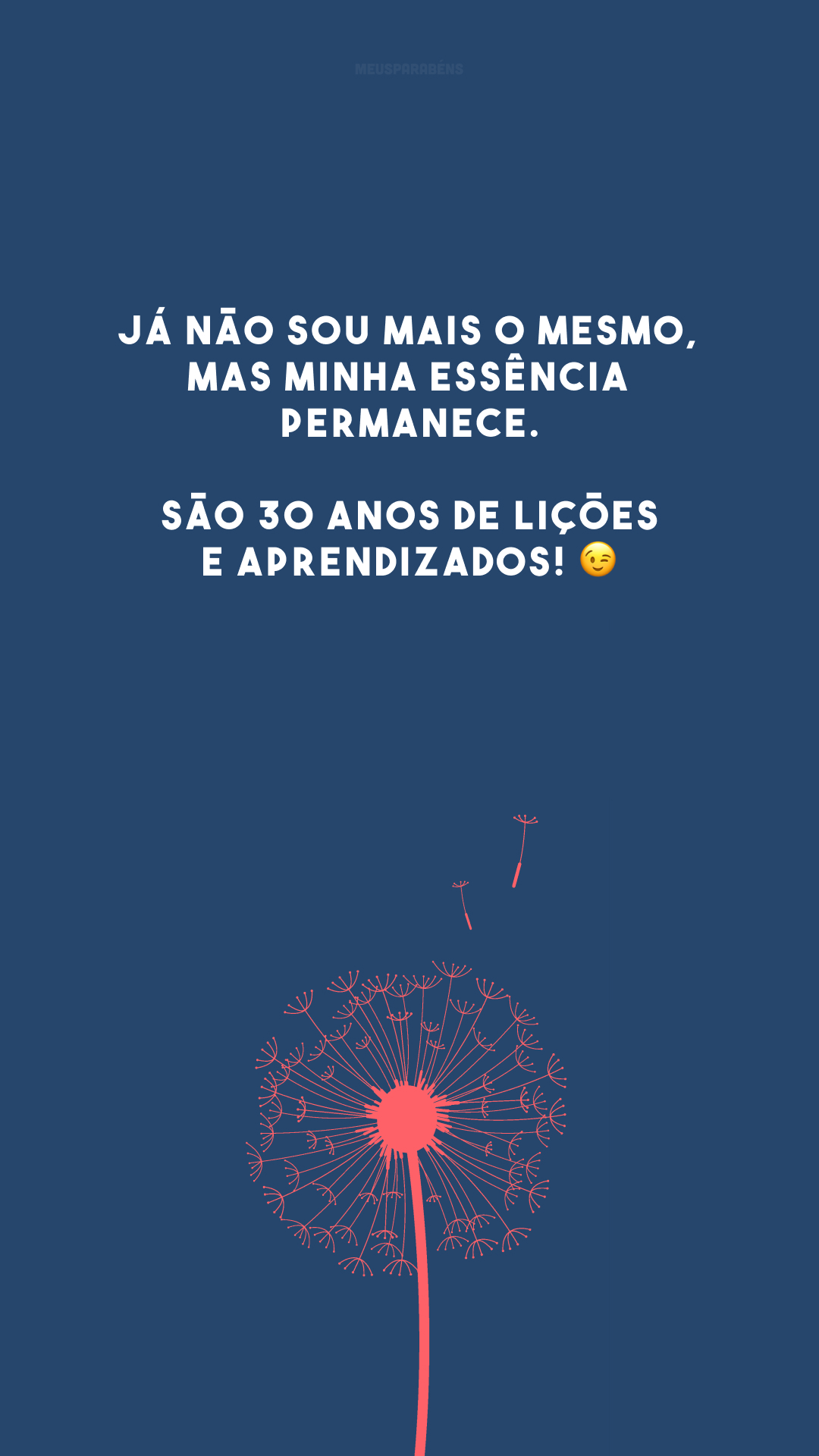 Já não sou mais o mesmo, mas minha essência permanece. São 30 anos de lições e aprendizados! 😉