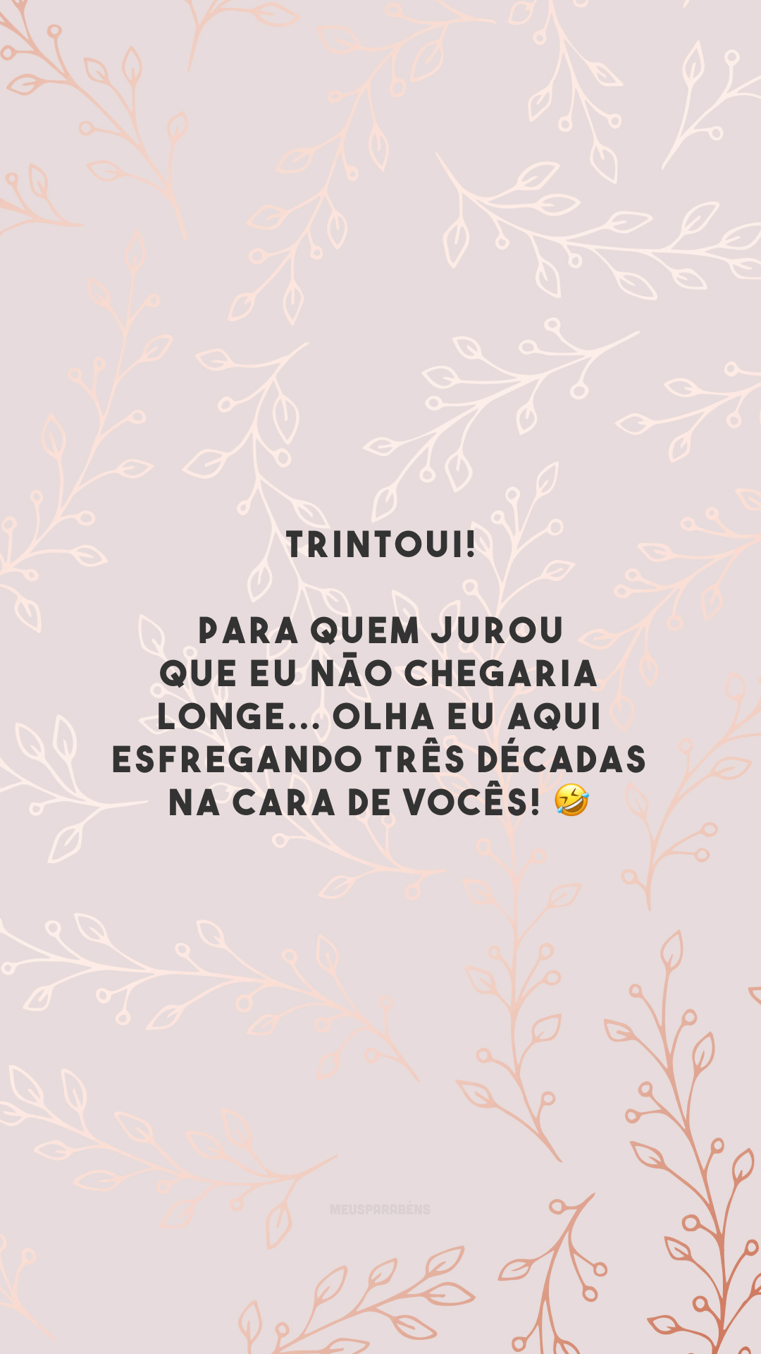 TRINTOUI! Para quem jurou que eu não chegaria longe... Olha eu aqui esfregando três décadas na cara de vocês! 🤣