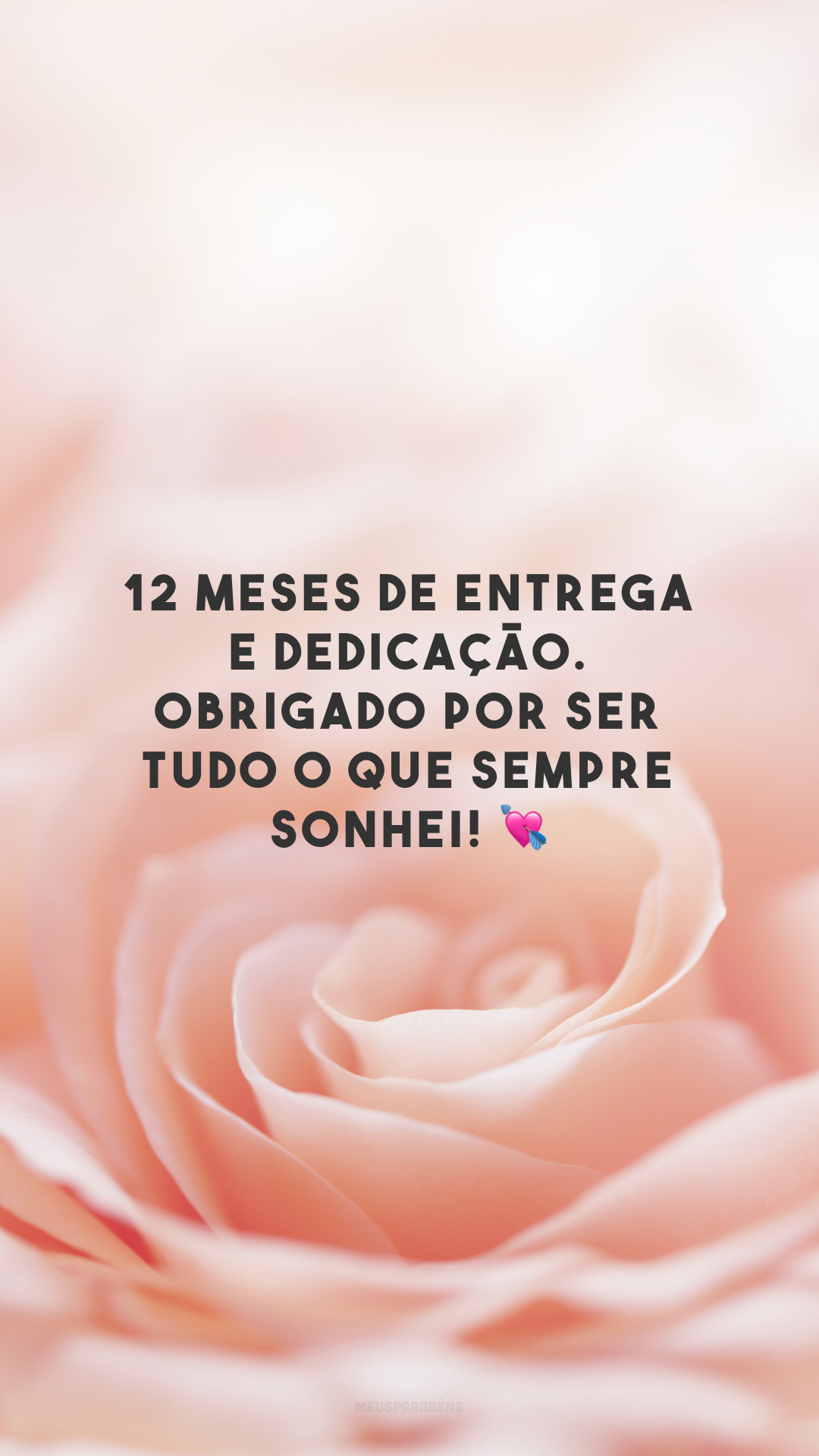 12 meses de entrega e dedicação. Obrigado por ser tudo o que sempre sonhei! 💘