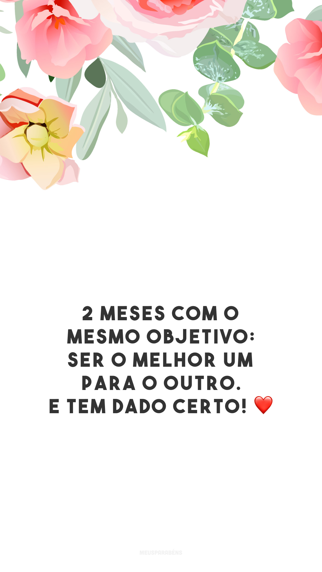 2 meses com o mesmo objetivo: ser o melhor um para o outro. E tem dado certo! ❤