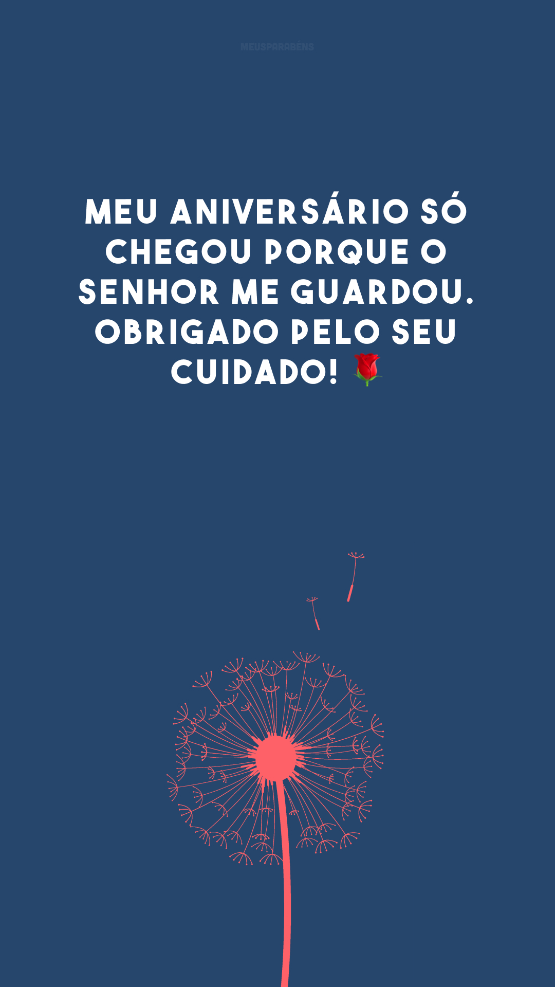 Meu aniversário só chegou porque o Senhor me guardou. Obrigado pelo Seu cuidado! 🌹