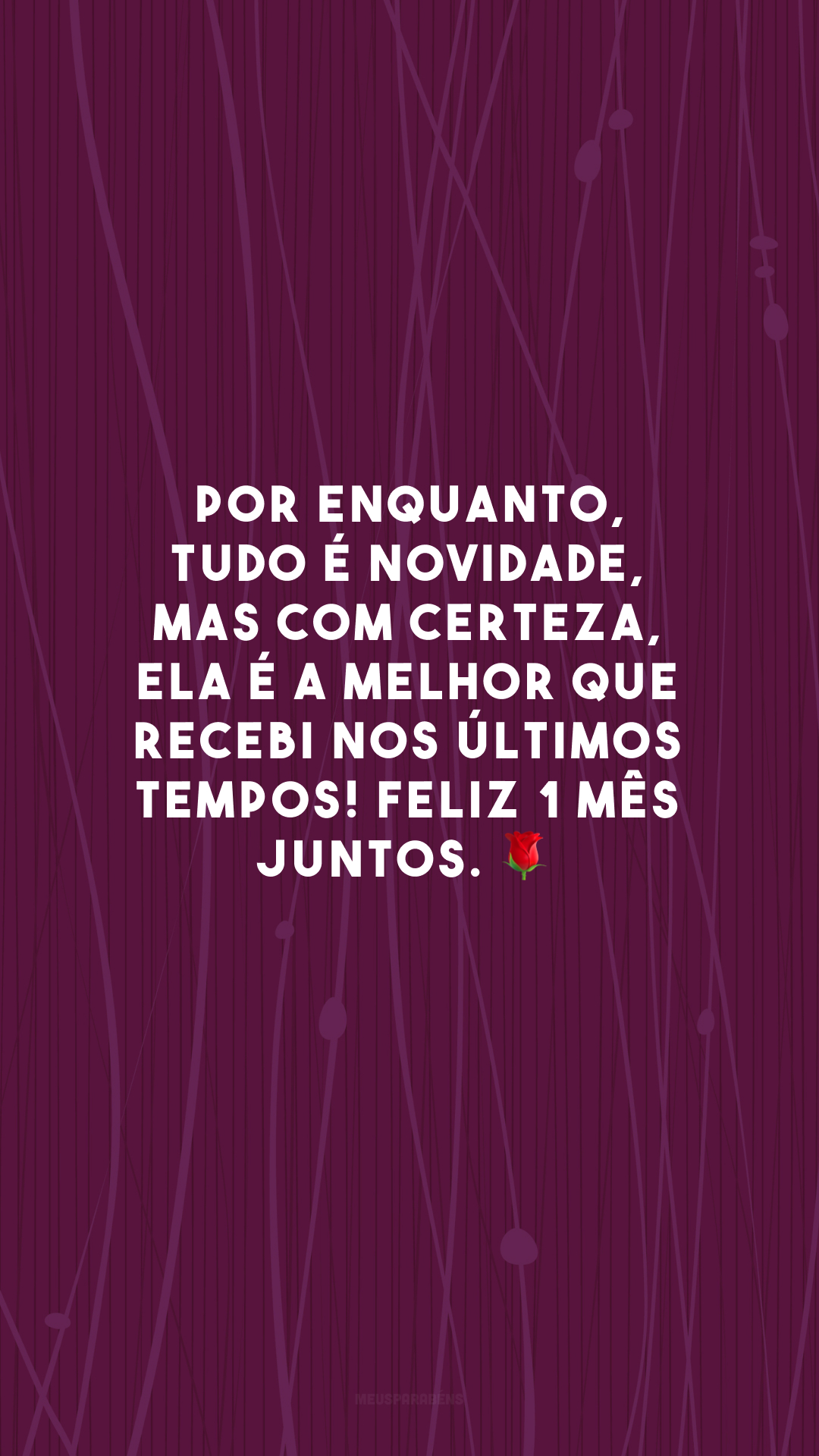 Por enquanto, tudo é novidade, mas com certeza, ela é a melhor que recebi nos últimos tempos! Feliz 1 mês juntos. 🌹


