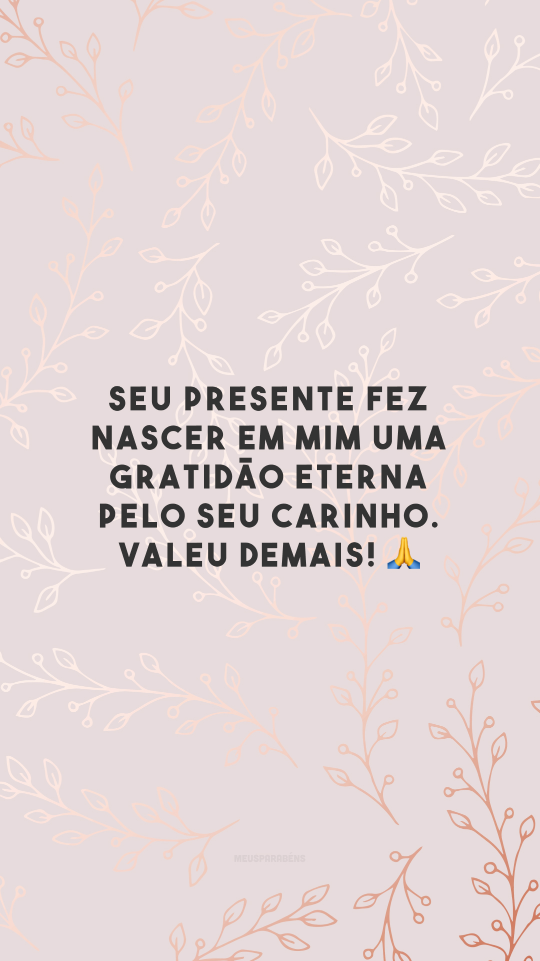 Seu presente fez nascer em mim uma gratidão eterna pelo seu carinho. Valeu demais! 🙏