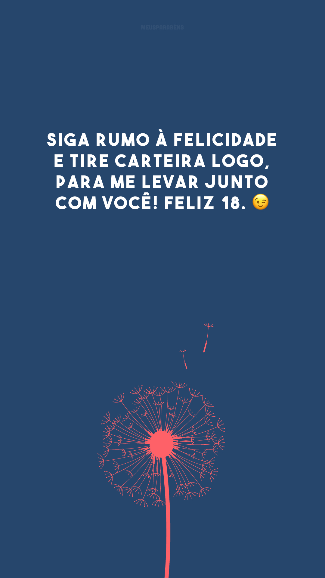 Siga rumo à felicidade e tire carteira logo, para me levar junto com você! Feliz 18. 😉