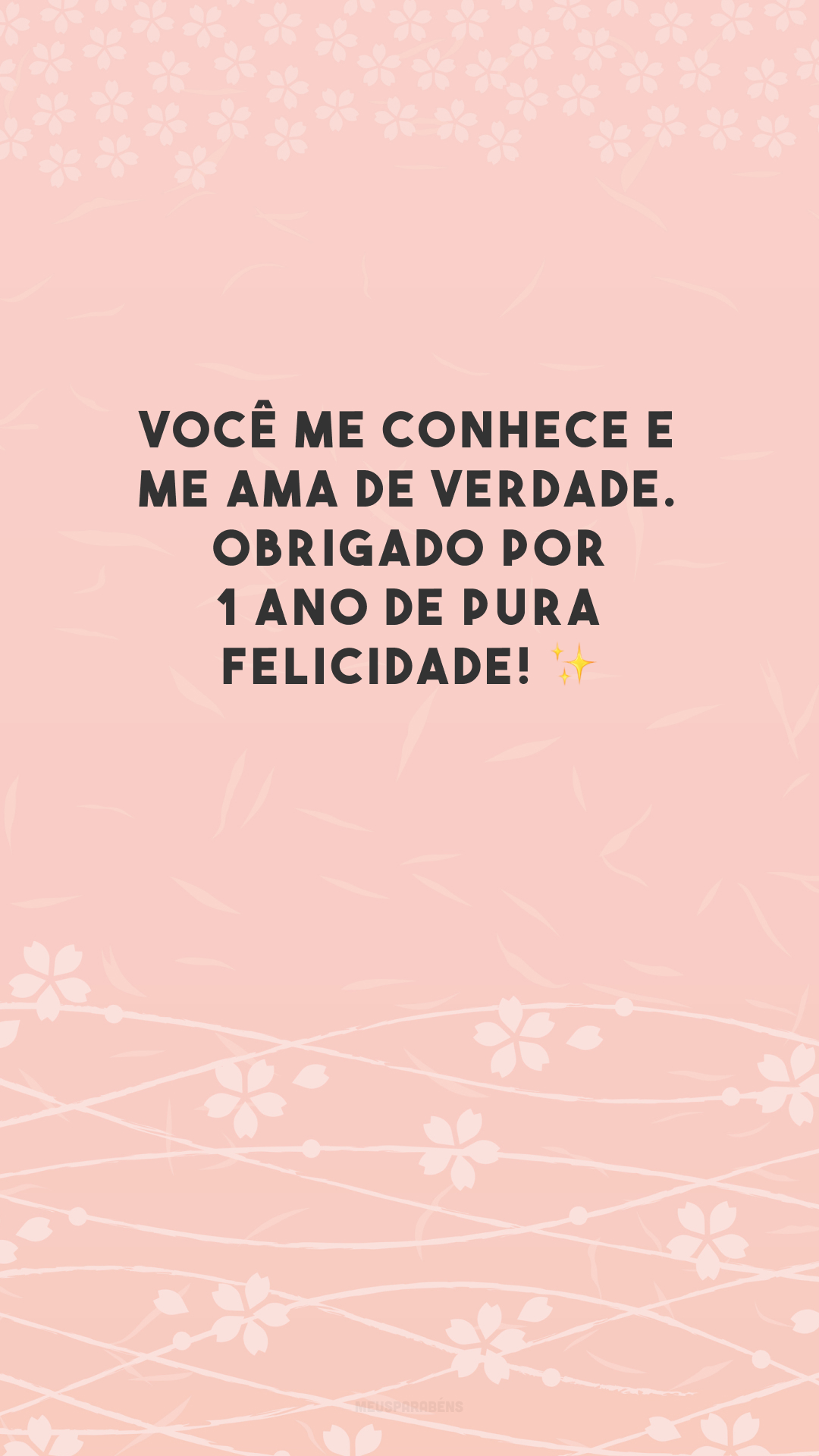 Você me conhece e me ama de verdade. Obrigado por 1 ano de pura felicidade! ✨