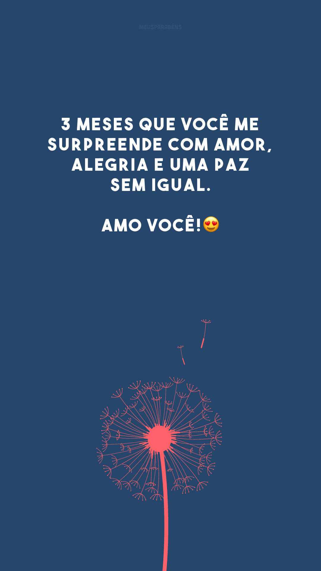 3 meses que você me surpreende com amor, alegria e uma paz sem igual. Amo você!😍