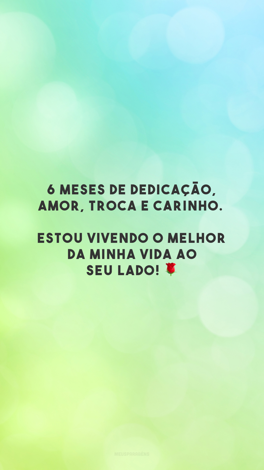 6 meses de dedicação, amor, troca e carinho. Estou vivendo o melhor da minha vida ao seu lado! 🌹