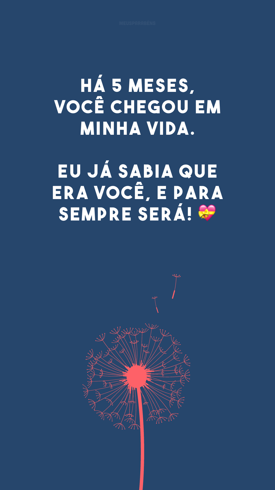 Há 5 meses, você chegou em minha vida. Eu já sabia que era você, e para sempre será! 💝