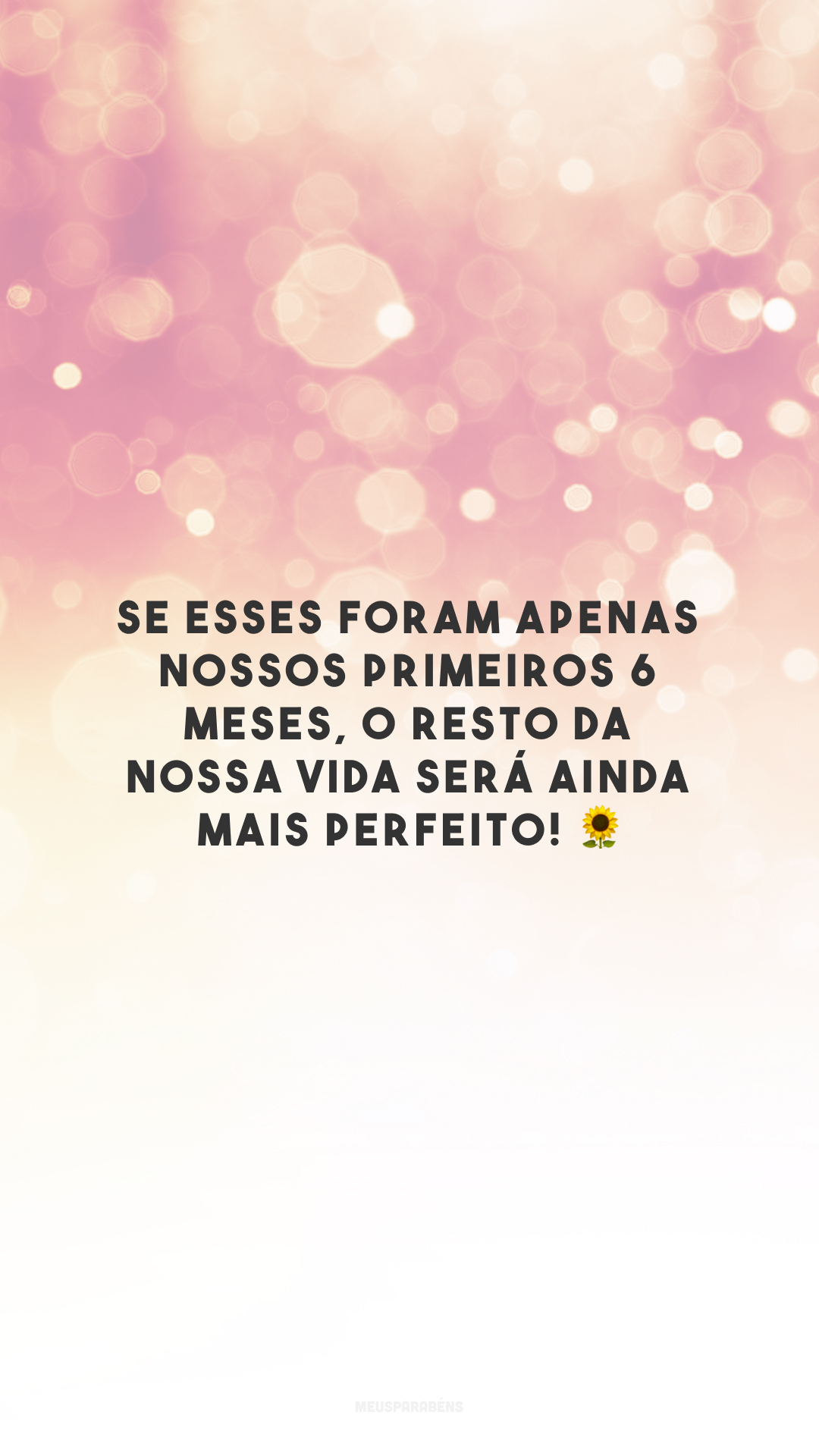 Se esses foram apenas nossos primeiros 6 meses, o resto da nossa vida será ainda mais perfeito! 🌻