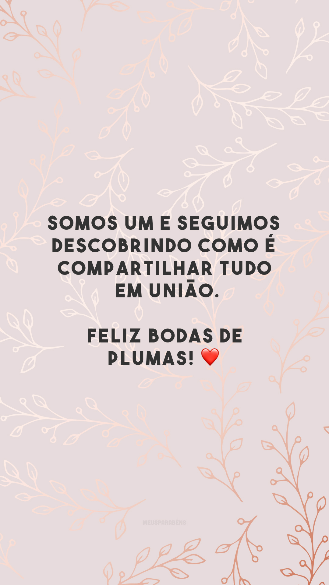 Somos um e seguimos descobrindo como é compartilhar tudo em união. Feliz bodas de plumas! ❤️