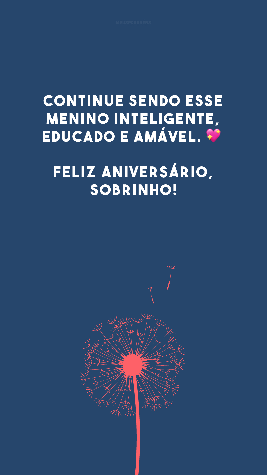 Continue sendo esse menino inteligente, educado e amável. 💖 Feliz aniversário, sobrinho!