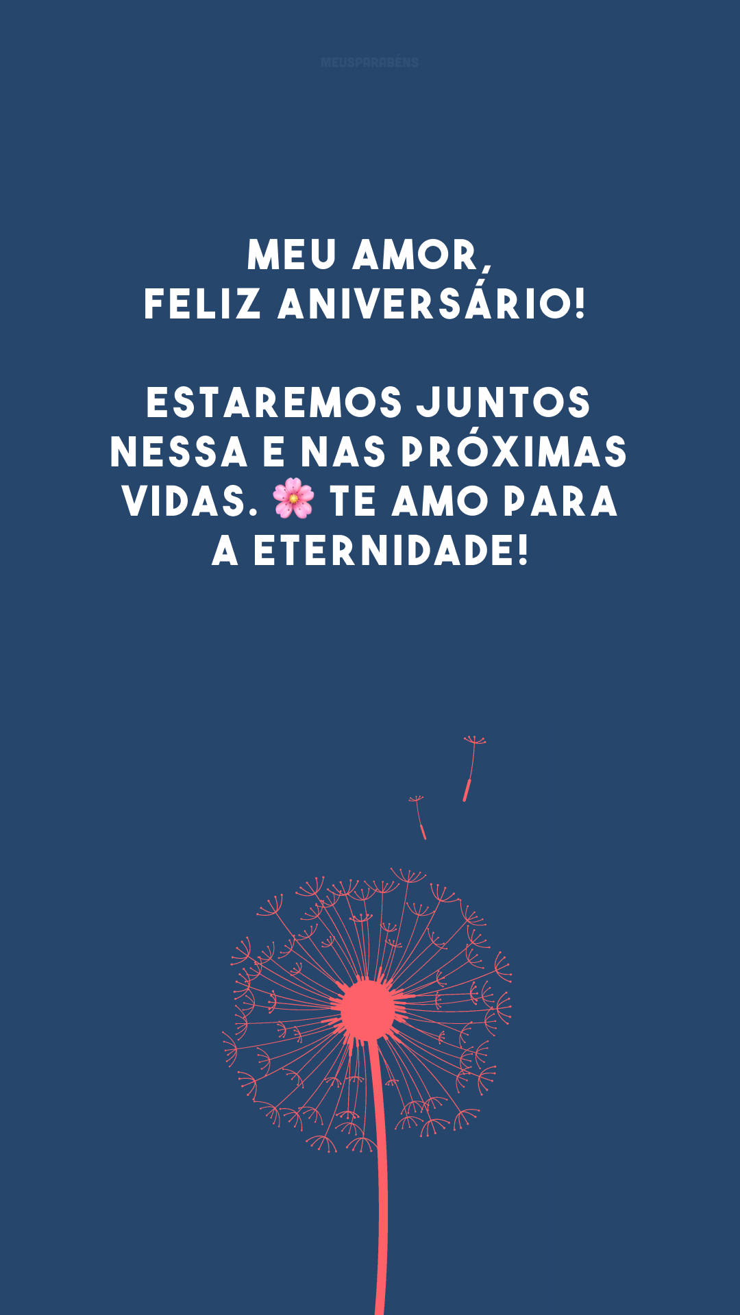 Meu amor, feliz aniversário! Estaremos juntos nessa e nas próximas vidas. 🌸 Te amo para a eternidade!