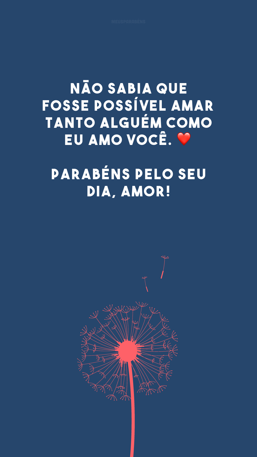 Não sabia que fosse possível amar tanto alguém como eu amo você. ❤️ Parabéns pelo seu dia, amor!