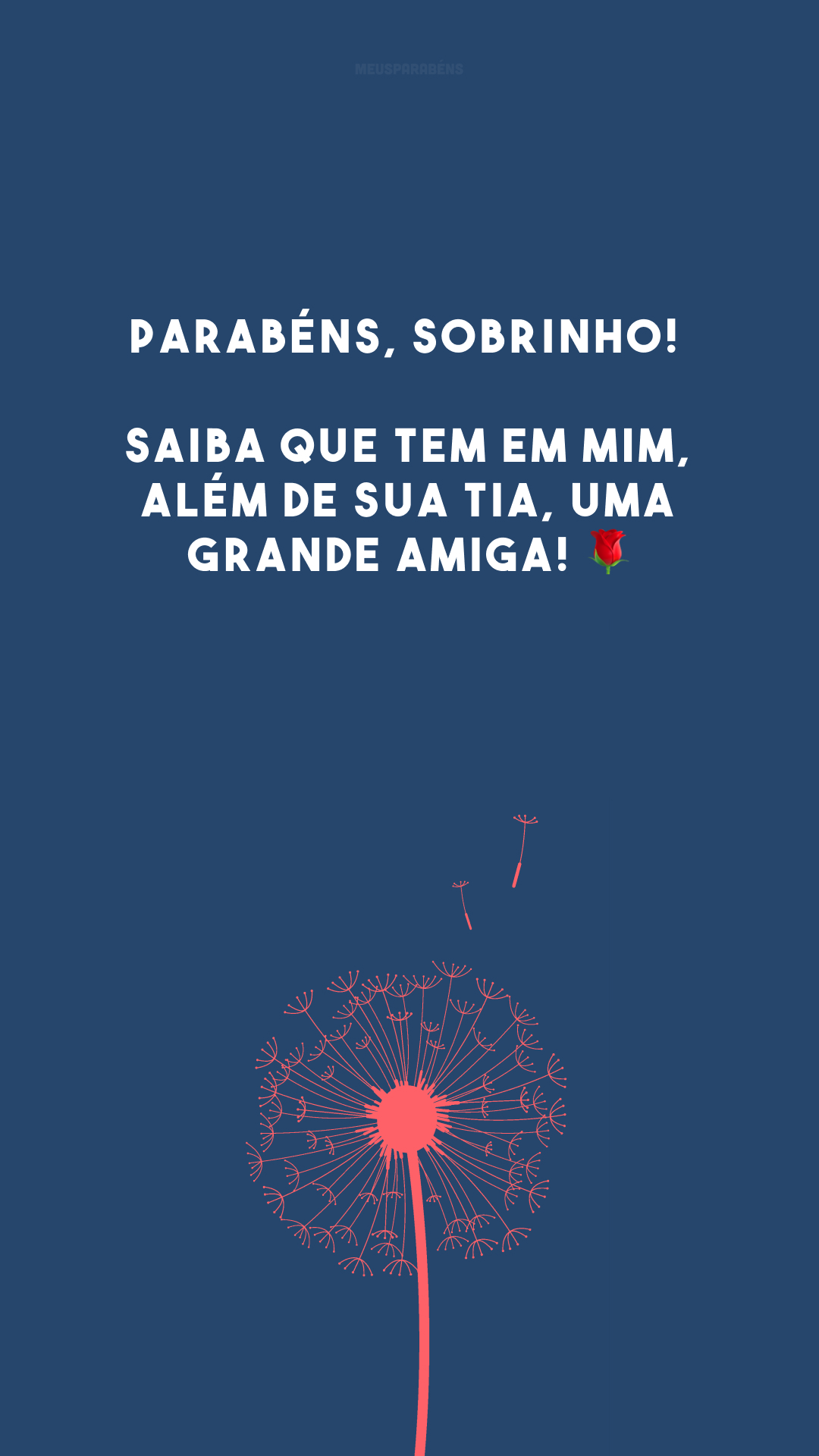 Parabéns, sobrinho! Saiba que tem em mim, além de sua tia, uma grande amiga! 🌹