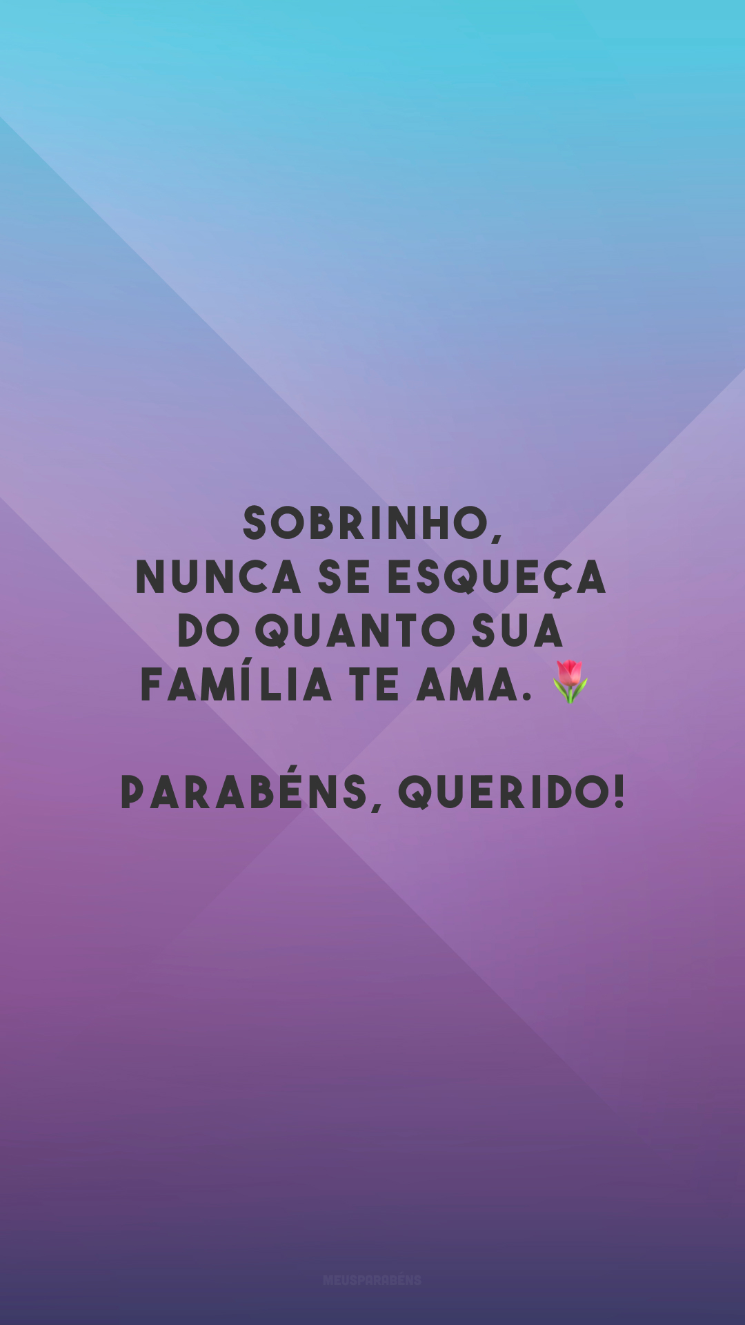 Sobrinho, nunca se esqueça do quanto sua família te ama. 🌷 Parabéns, querido!