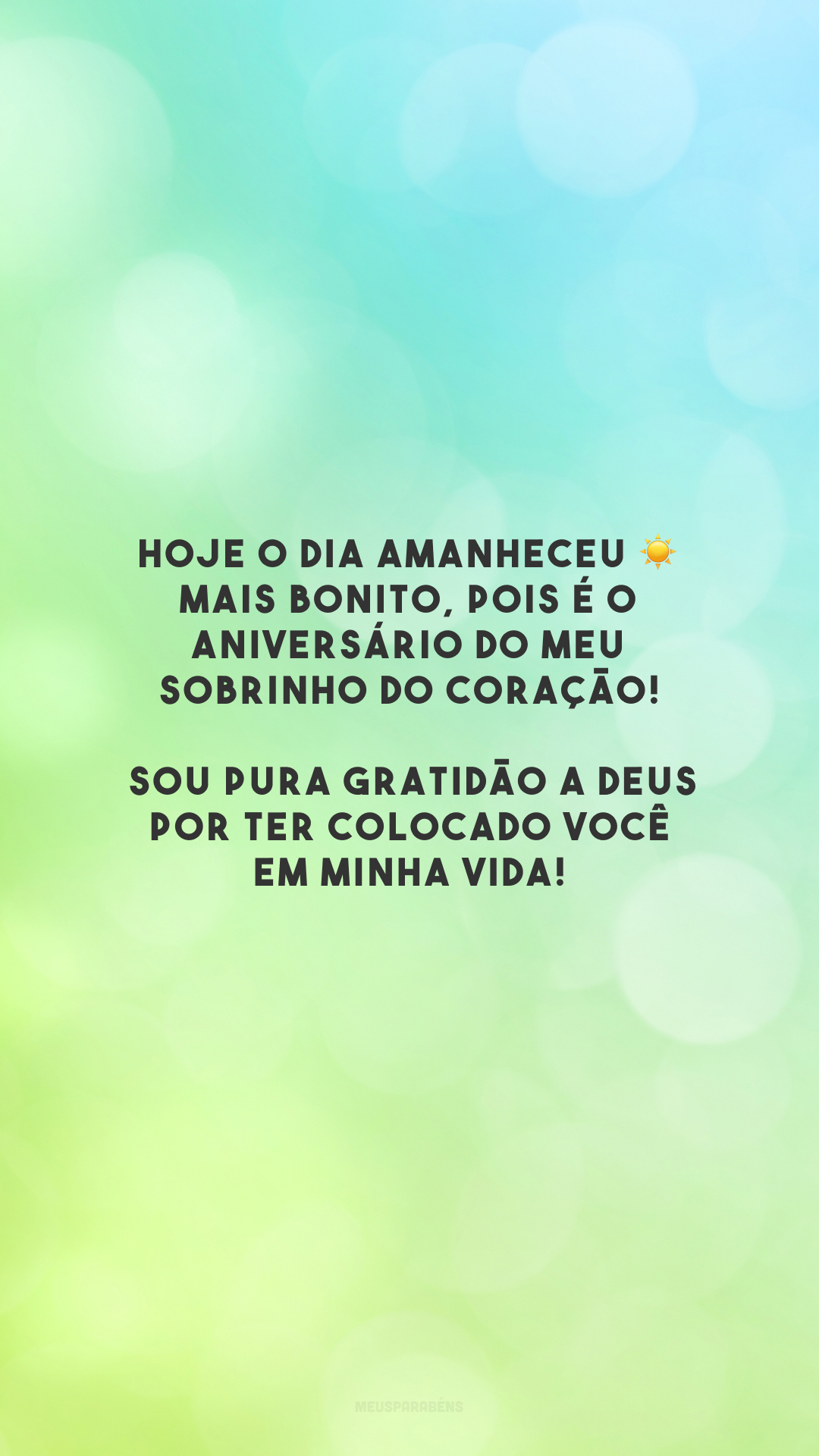 Hoje o dia amanheceu ☀ mais bonito, pois é o aniversário do meu sobrinho do coração! Sou pura gratidão a Deus por ter colocado você em minha vida!