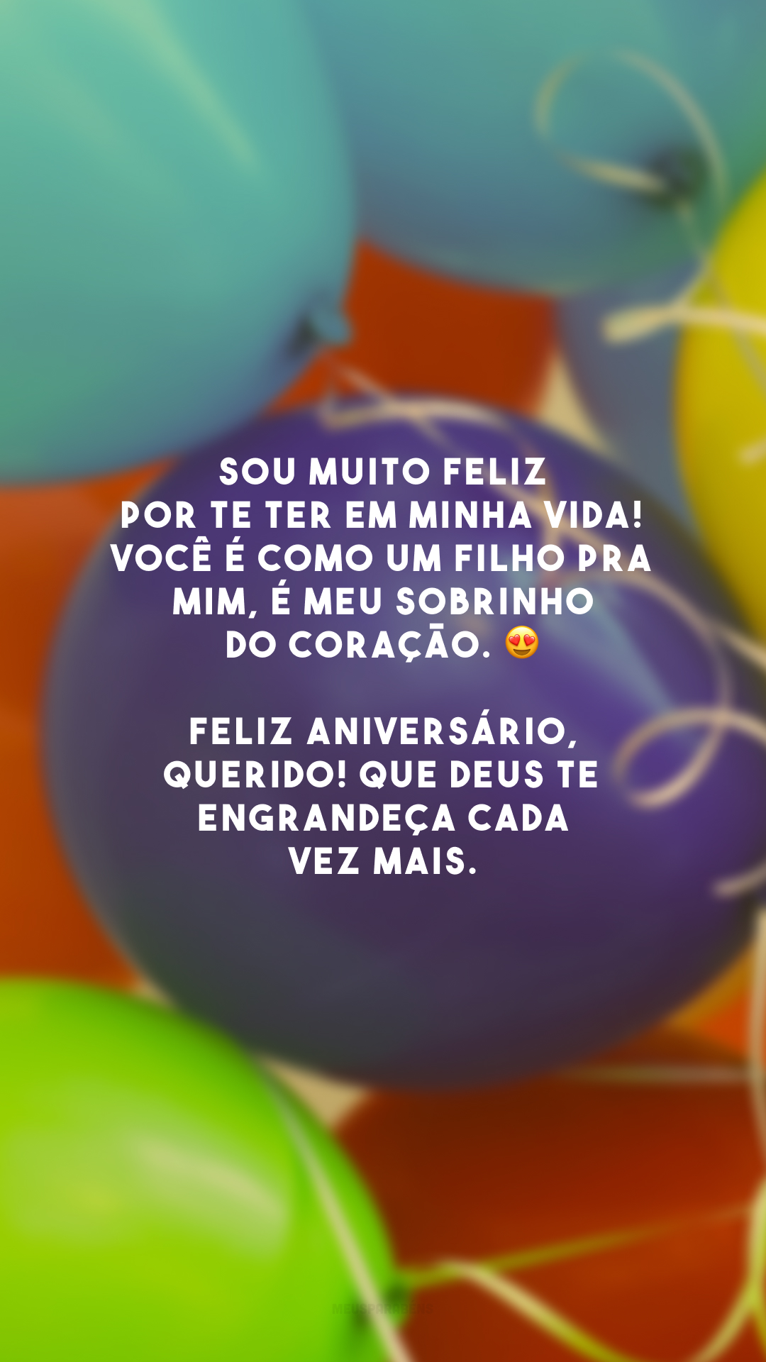 Sou muito feliz por te ter em minha vida! Você é como um filho pra mim, é meu sobrinho do coração. 😍 Feliz aniversário, querido! Que Deus te engrandeça cada vez mais.